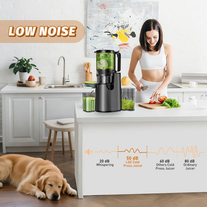 350W Slow Juicer, High Yield, Easy Clean