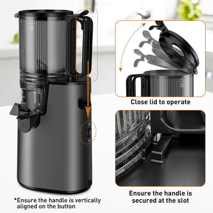 350W Slow Juicer, High Yield, Easy Clean